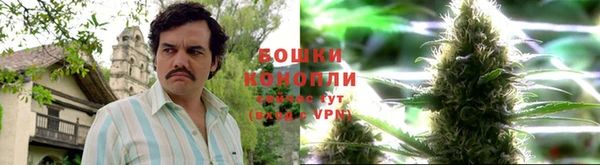 трава Инта
