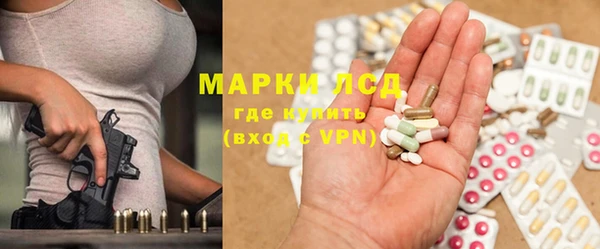 трава Инта