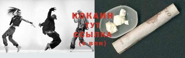 трава Инта