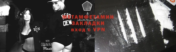 трава Инта