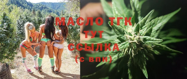 трава Инта