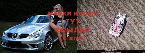трава Инта