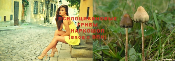 трава Инта