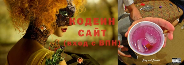 трава Инта