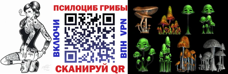Галлюциногенные грибы мицелий  Кедровый 